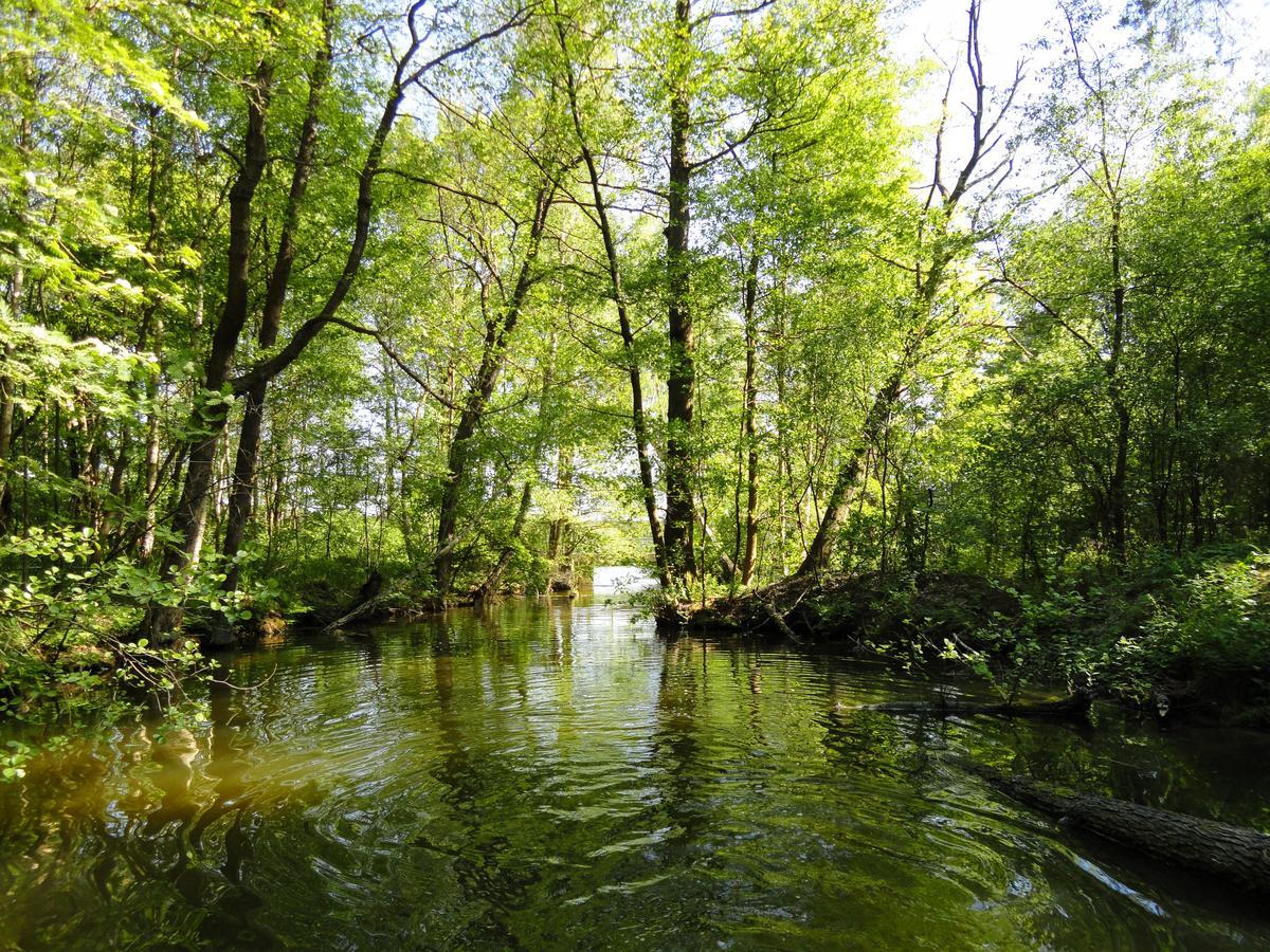 Ferienpark Am Glubigsee Вендиш Риц Екстериор снимка