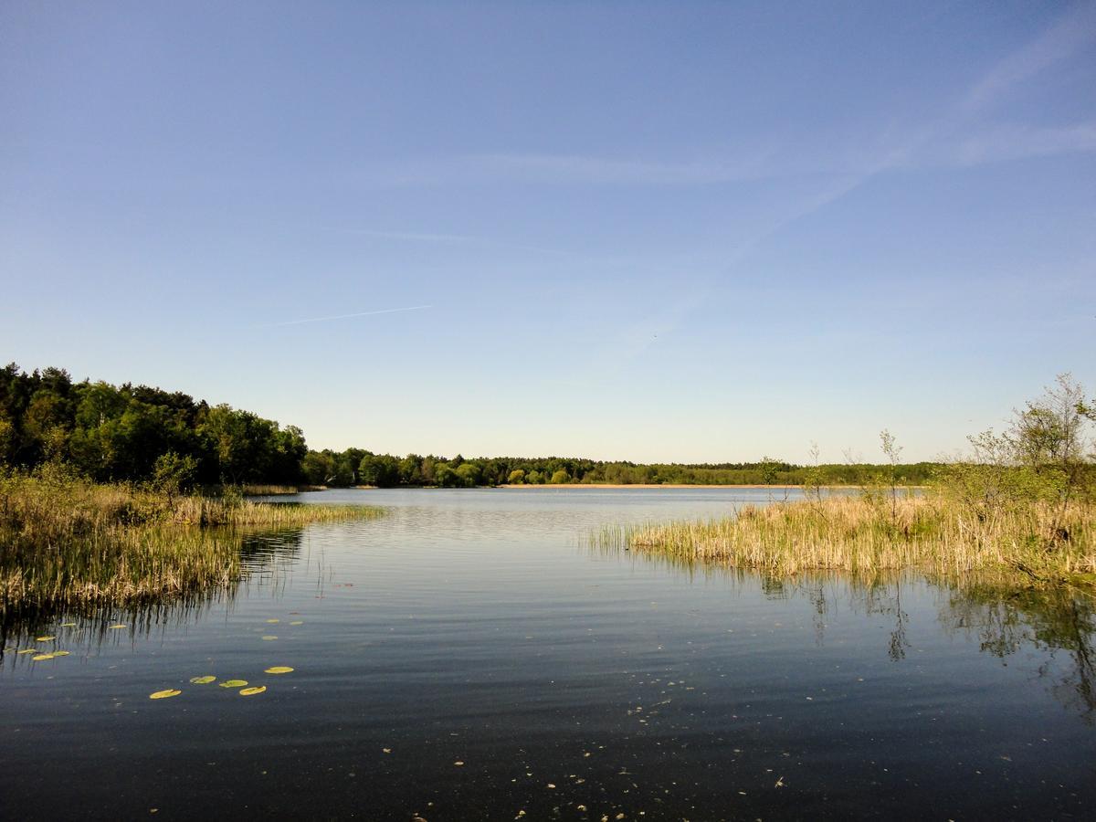 Ferienpark Am Glubigsee Вендиш Риц Екстериор снимка